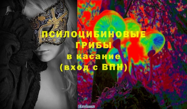 МДПВ Елабуга