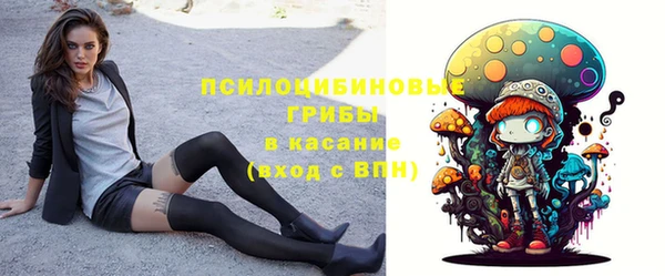СК Абдулино
