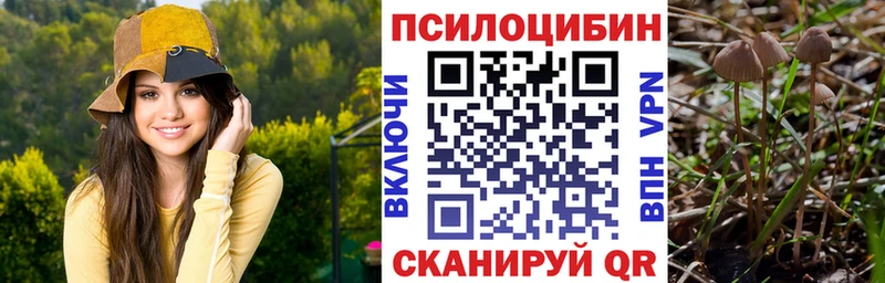 Псилоцибиновые грибы Psilocybine cubensis Сызрань