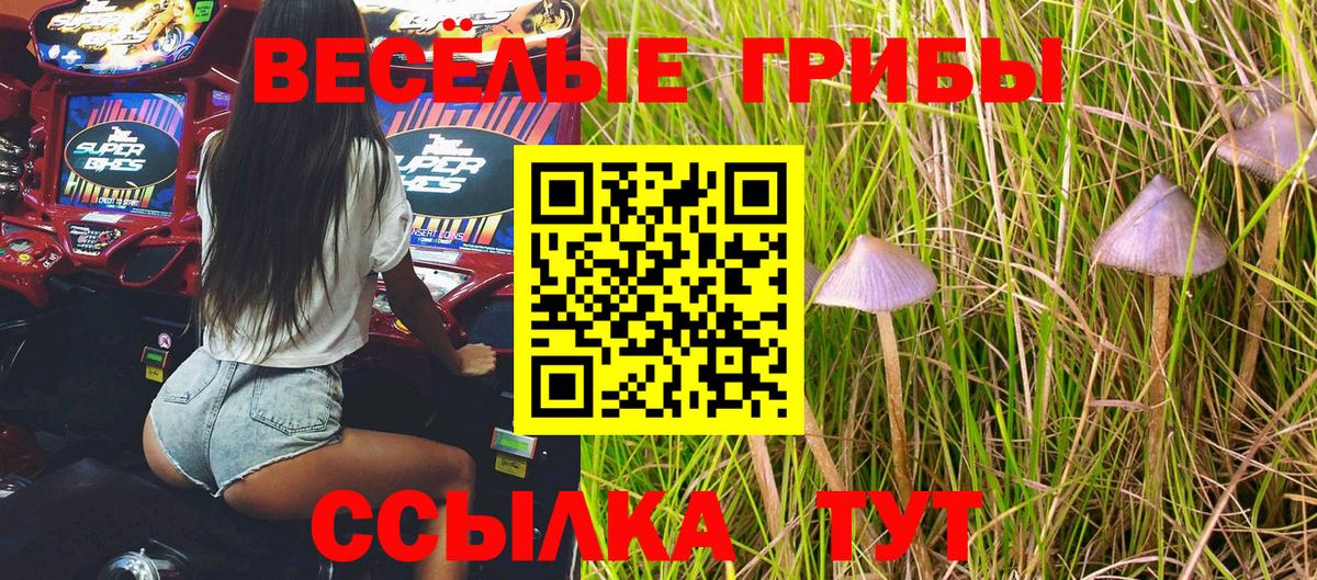 Галлюциногенные грибы MAGIC MUSHROOMS  Вход с VPN  продажа наркотиков  Сызрань 